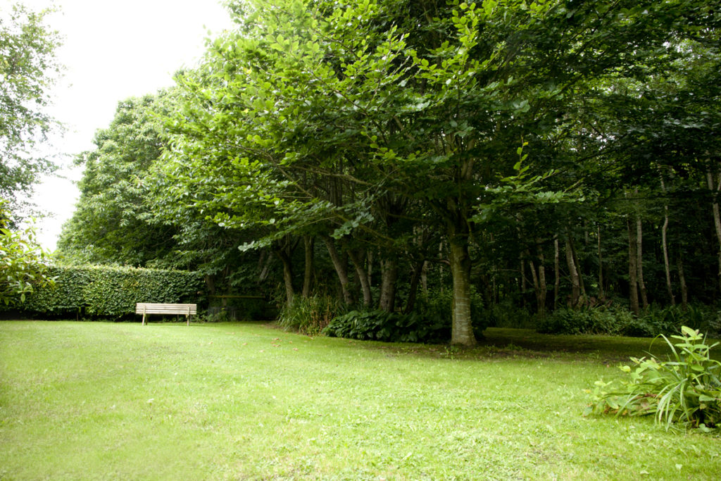 The garden and woods of All Saints Cottage, a holiday cottage in Wiltshire